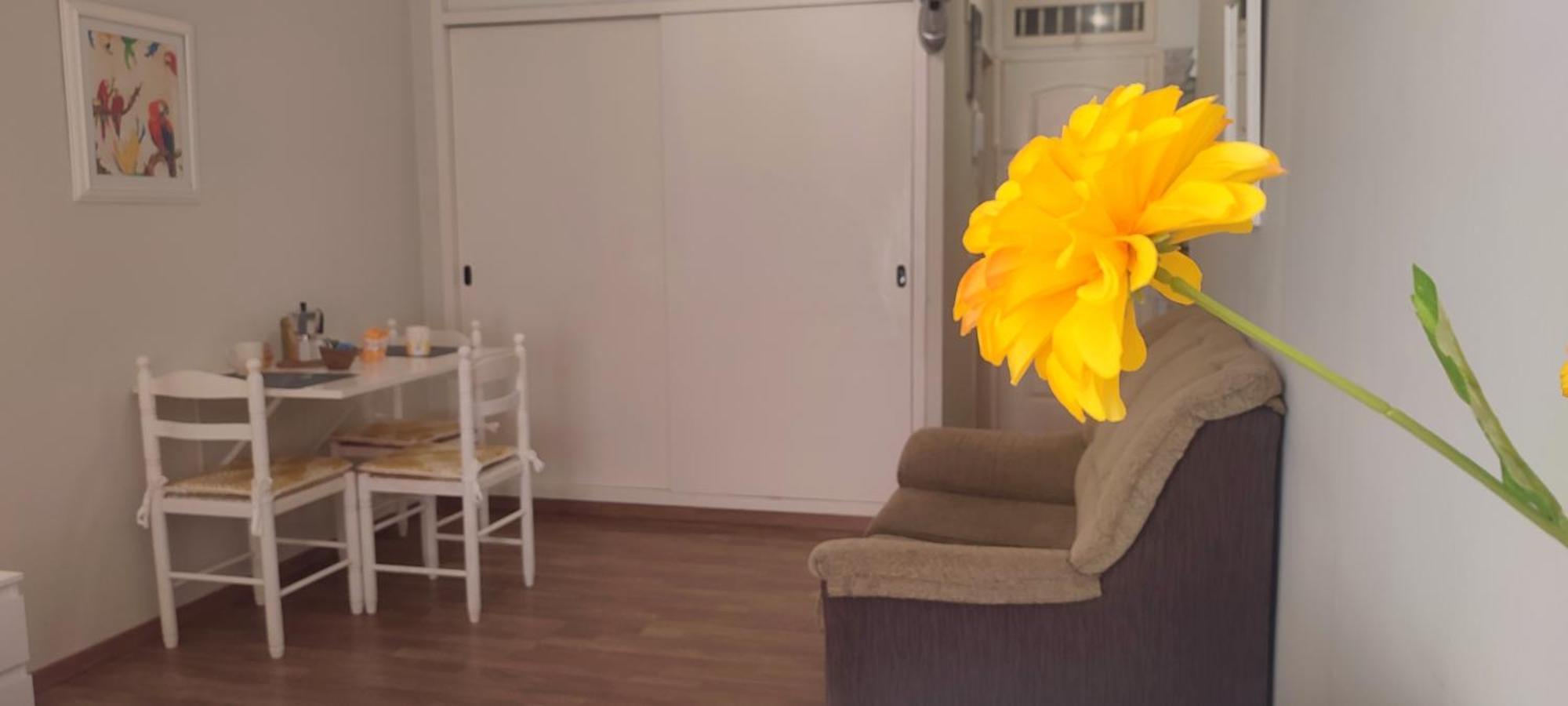Apartmán Brisa Del Sol Puerto de la Cruz  Exteriér fotografie