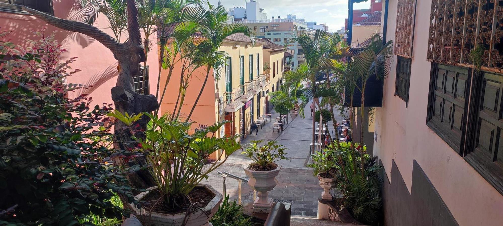 Apartmán Brisa Del Sol Puerto de la Cruz  Exteriér fotografie
